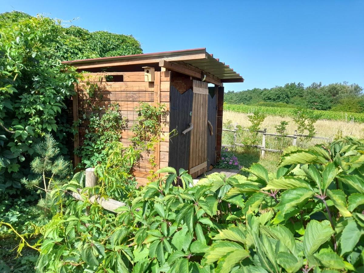 Le Clos De Epinettes Angé Exterior foto